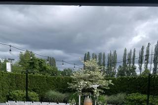 Seattle Bloom - 9