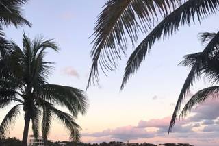 Blue Venado Beach Weddings - 65