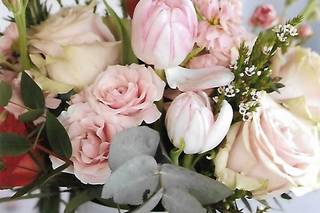 Aureate Florals - 26