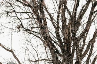 KLee Photography LLC - 30