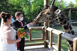 Zoo Knoxville - 46
