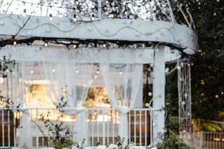 Draping Wedding - 96