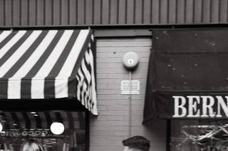 Tess Schilke Photography - 23
