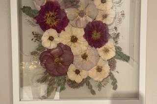 White Poppy Preservation - 46