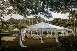 Cherished in Hawaii Weddings - 15