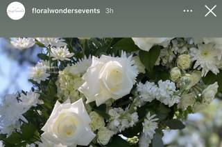 Floral Wonders - 47