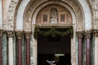 Sandy and Odysseas Photography - 53
