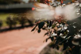 Fawn & Fellow Photography - 13