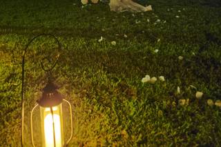 Waning Moon Weddings by LaToya - 30