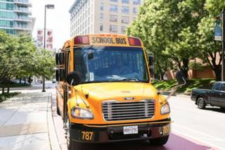 VIENNAS TRANSPORTATION, INC. - 1
