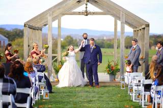 Stewart Berry Designs - 7