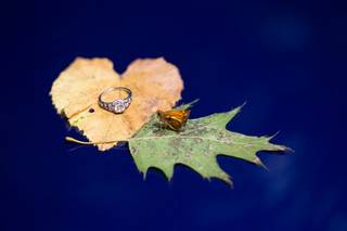Victoria V Photography - 39