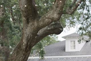 Lowndes Grove - 14