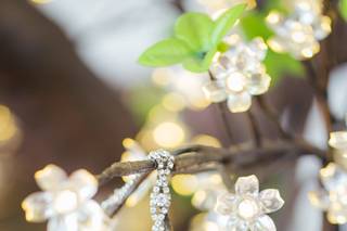 Charlie Kaine Photography - 10