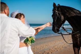 BryceWilliam Photography - 15