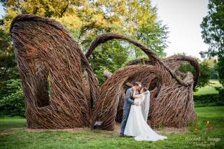 Rooted Image Photography - 105