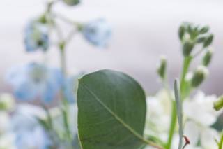 Sheryl Bale Photography - 41