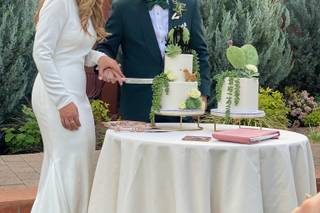 Let's Knot and Say We Did - 84