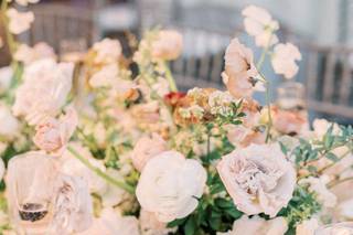 Winsome Floral - 8