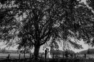 Andy Hardman Photography - 18
