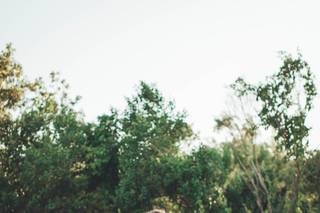 White Weddings - 8
