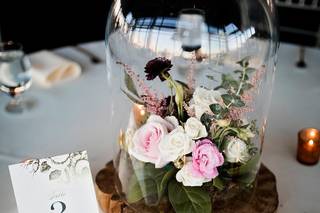 Tulip – Blooming Creations - 32