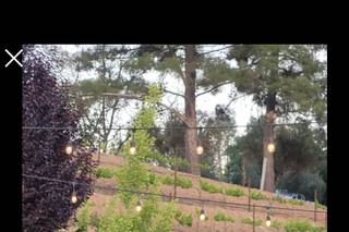 Besame Floral & Events - 42