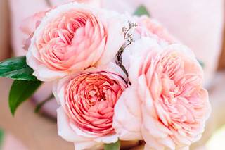 Zelo Photography - 13