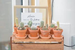 Weddings & Events by Tara Donato - 9