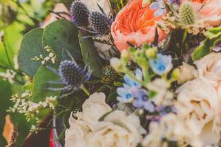 Brandi Royer Photography - 30