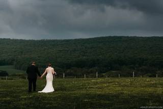 Big Cork Vineyards - 47