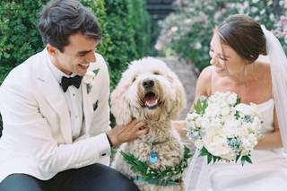 David Abel Photography - 11