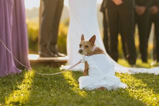 Justin Kunimoto Photography - 52