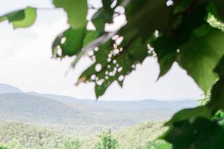 Megan Ellis Photography - 6