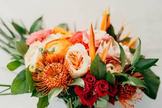 Sarandipity Floral - 37