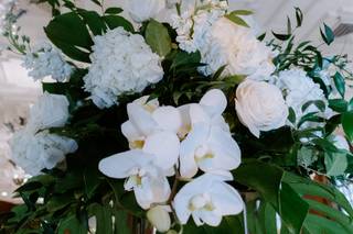 Blooming Flowers - 53