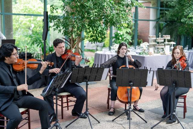 Melodious Strings 3