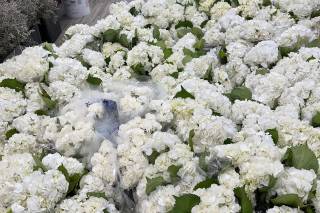 800ROSEBIG Wholesale Wedding Florist - 96