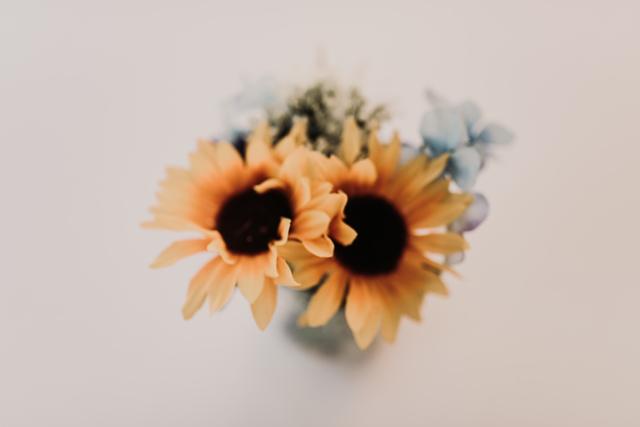 Lauren Dorman Photography - 1