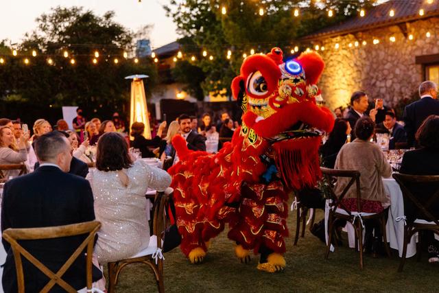 Lion Dance ME - 4