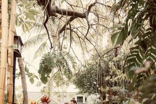 Rosina DiBello's Photography Studio - 40