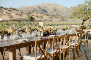 Zaca Mesa Winery - 20