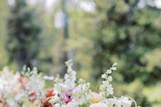 Anna Perevertaylo Photography - 5