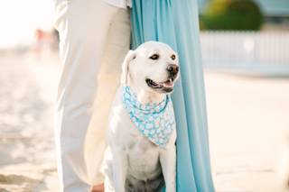 Justin Kim Photography - 38