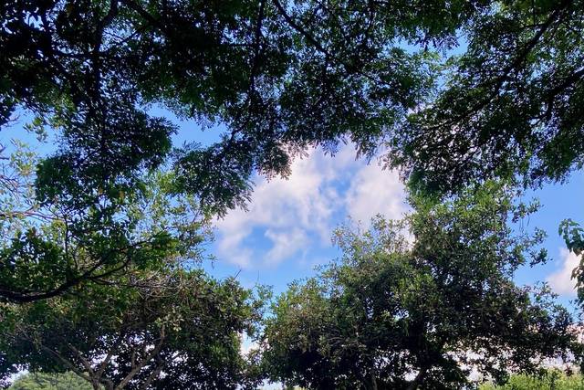 Kualoa Ranch 3