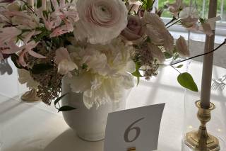 Marian Frances Events - 9