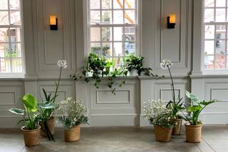 I'On Chapel - 12