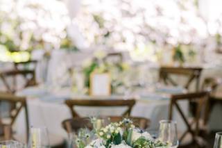 Jessica Vann-Campbell Flowers - 33