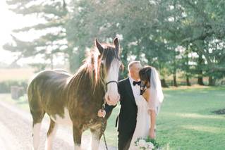 Madeleine Collins Photography - 43