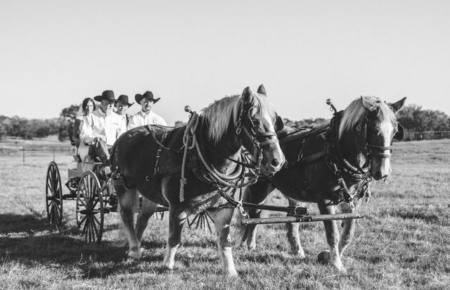 Rockin' Star Ranch - 4